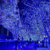 青之洞窟澀谷😍✅日本超夢幻聖誕🎄打卡必到大街😳