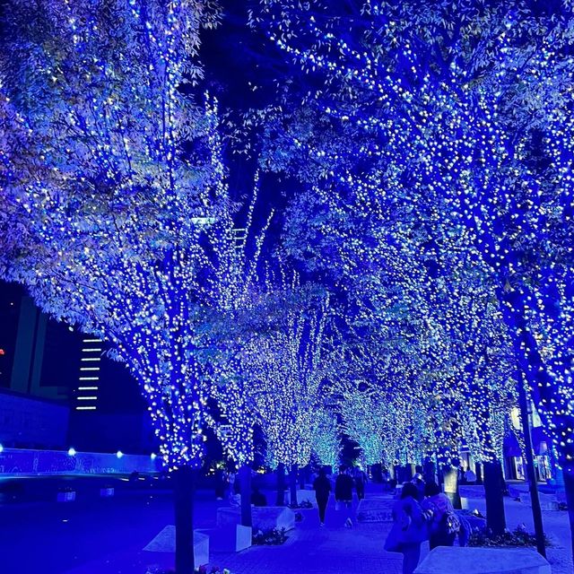 青之洞窟澀谷😍✅日本超夢幻聖誕🎄打卡必到大街😳