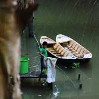 mekong delta - Rừng Tràm Trà Sư