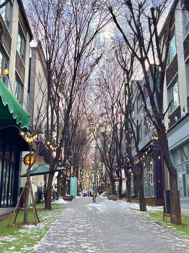 보정동 카페거리의 크리스마스🎄 | 트립닷컴 용인 보정동 카페거리의 크리스마스🎄 | 트립닷컴 용인 