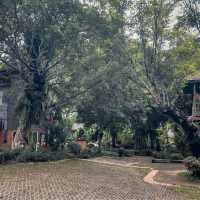 หลองข้าวสะเมิง บ้านพักบรรยากาศดี ในอ้อมกอดขุนเขา