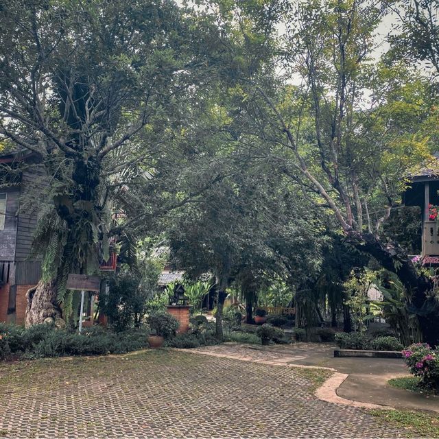 หลองข้าวสะเมิง บ้านพักบรรยากาศดี ในอ้อมกอดขุนเขา