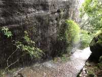 Wuyishan Scenic Area