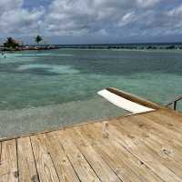 Flamingo Island in Aruba 