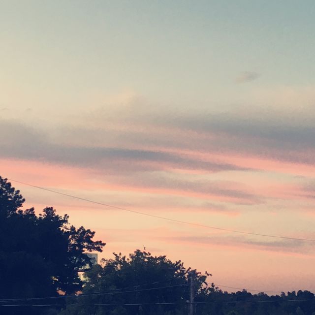 One Lovely Night