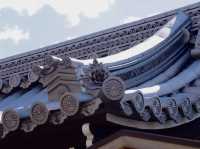 Amazing Udon and Shrine