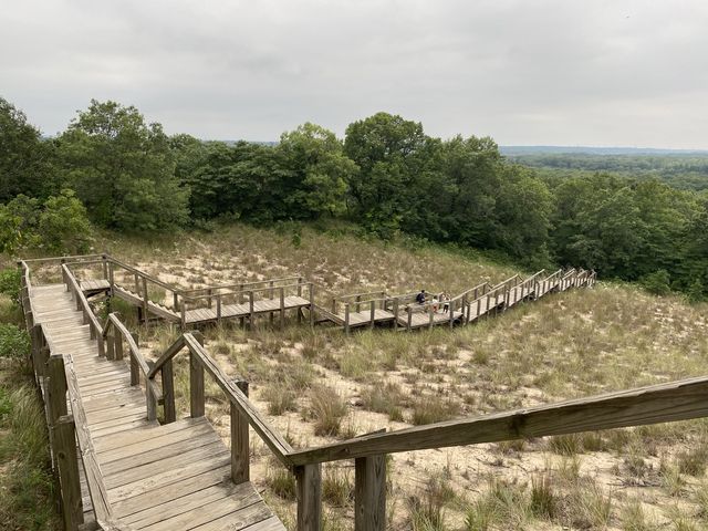 Trail 4 - Indiana Dunes State Park 