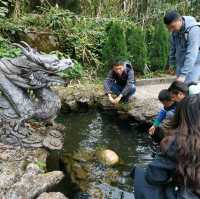 a lifetime trip to the land of "Avatar"! 