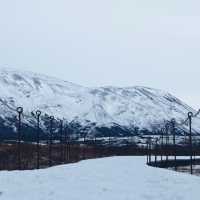 Iceland Golden Triangle!