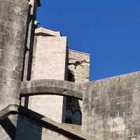 Cathedral of Saint Mary and surroundings 