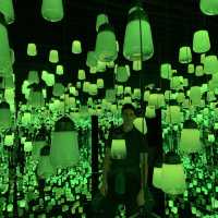TeamLab Exhibition