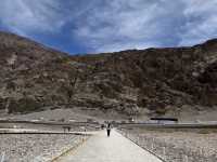 Alive in Death Valley