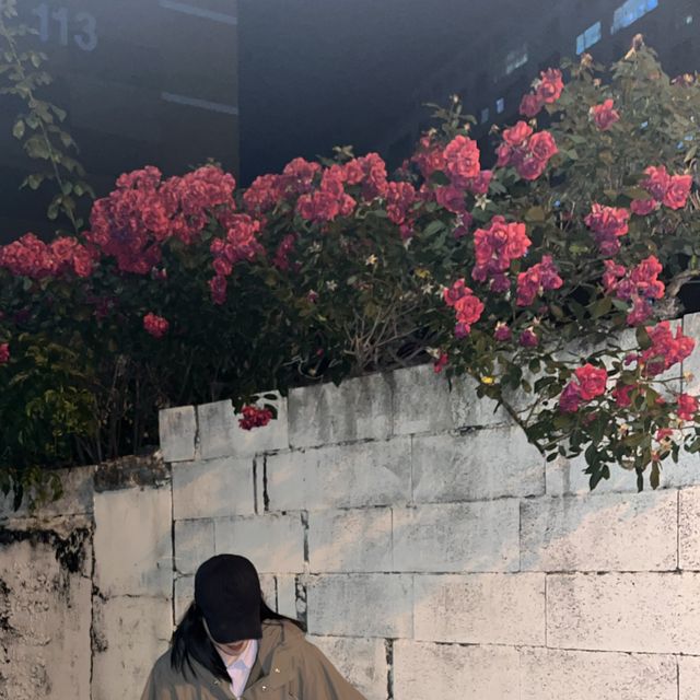 밤 중 피크닉💕