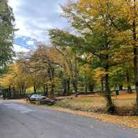 Taunus Nature Park Germany
