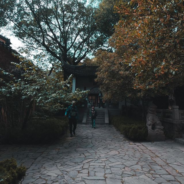 Hiking to the top of Tianpingshan 