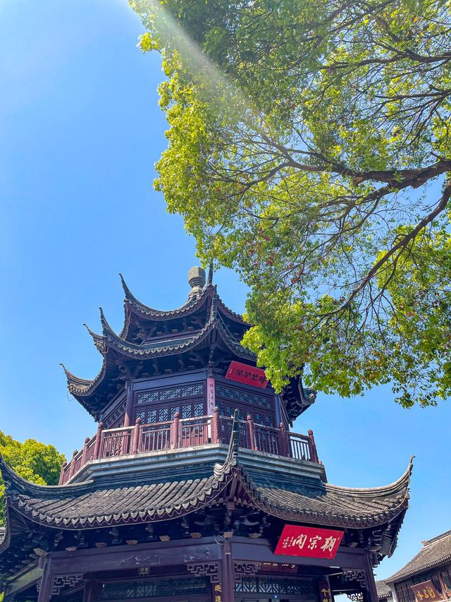 Summer Time in Suzhou🛶🌳🌱