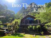 Into the forest 