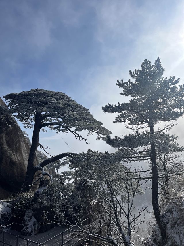 Huangshan-Yellow Mountain-Winter Wonderland