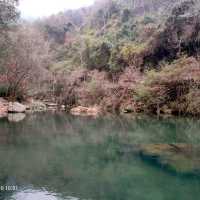 Pujiang Shenli Gorge Sciense Area