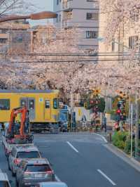 Nakano Ward, Arakawa Yakushi