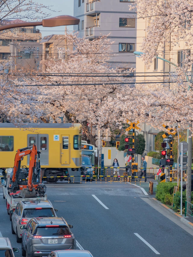 Nakano Ward, Arakawa Yakushi