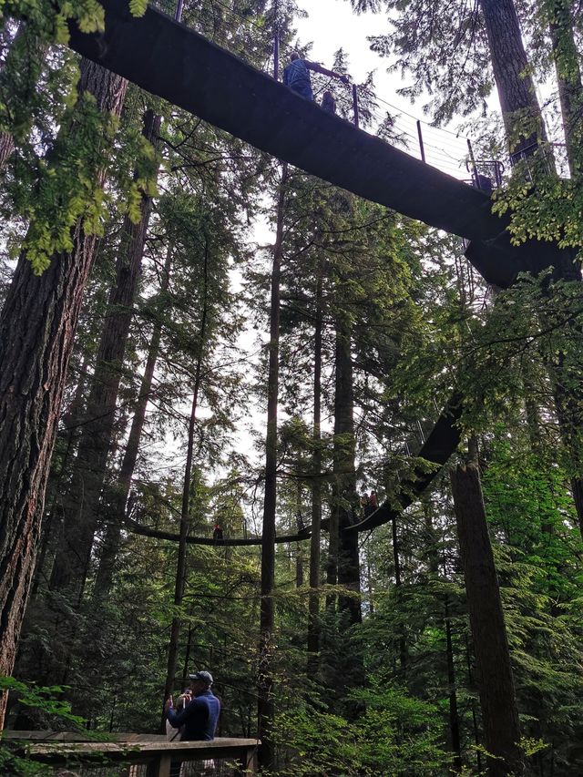 Capilano Suspension Bridge Park