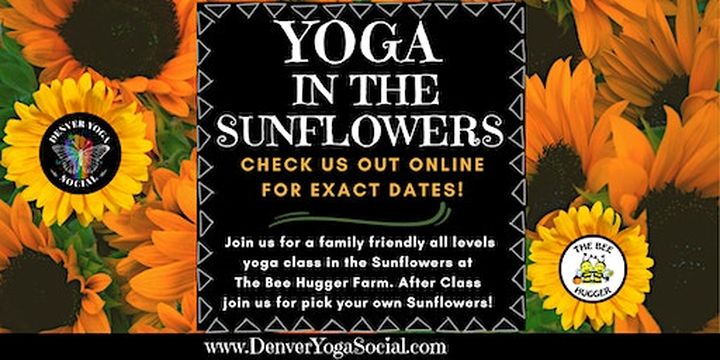 Yoga in the Sunflowers at the Bee Hugger Farm in Longmont, Colorado (Longmont) | The Bee Hugger Farm