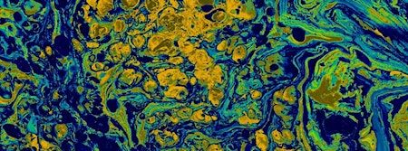 Family Water Marbling 101 with Filiz Aydin (In Person) | Homer Watson House & Gallery