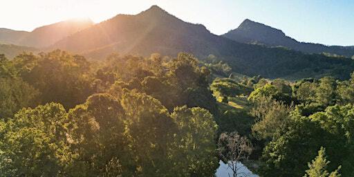 Community Weaving Circle | Kyogle Road