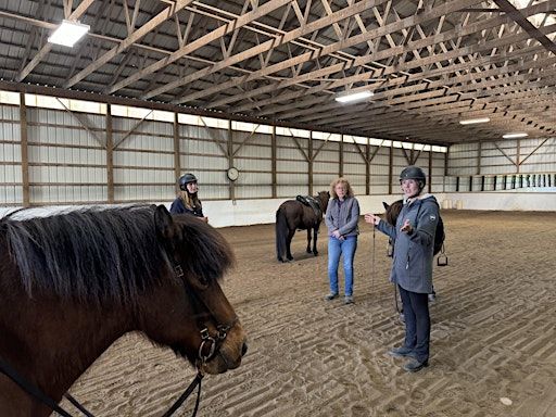 Spring Training: 4-Day Icelandic Horse Clinic with Disa Reynis | West Wind Icelandics