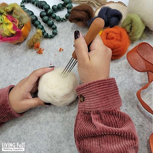 Needle Felting | Brenda Dwyer, instructor | Paul Nigra Center For Creative Arts