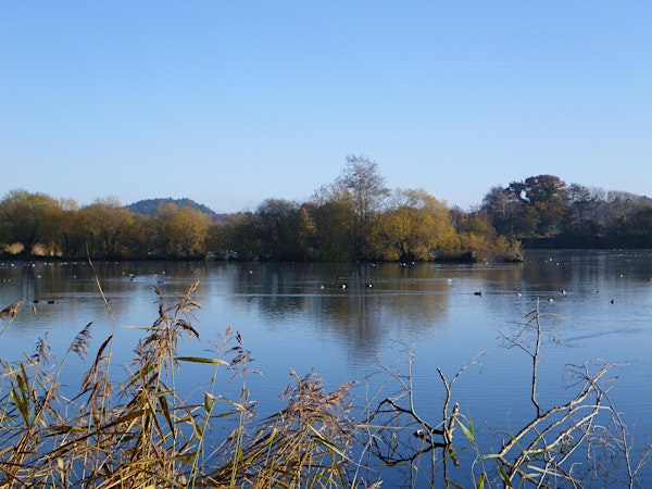 Wildlife Photography Workshop - Macro | Blashford Lakes Nature Reserve