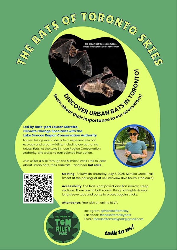 The Bats of Toronto Skies | 44 Grenview Blvd S