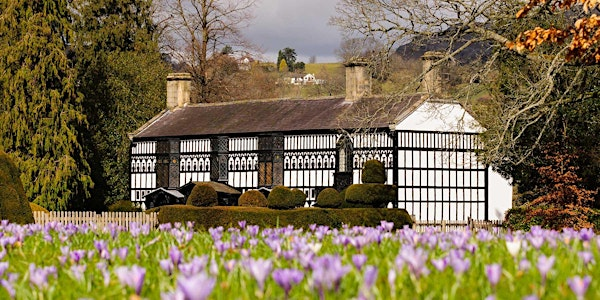 Myfyrdodau Botanegol  | Botanical Muses: Art through the Ages | Plas Newydd, Llangollen