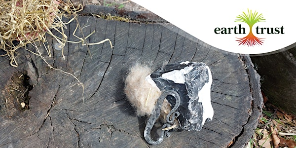 Family History Day: Incredible Iron Age | Earth Trust