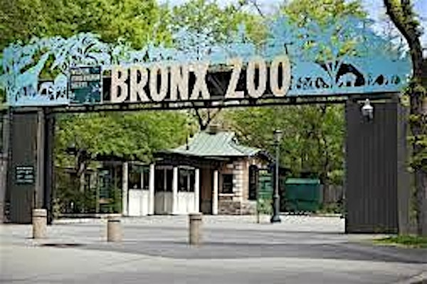 NEW YORK CITY BRONX ZOO TRIP FROM BALTIMORE | White Marsh MTA Park & Ride, Baltimore, MD