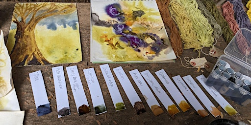 Wild Colour (WT) | Bradfield Woods National Nature Reserve