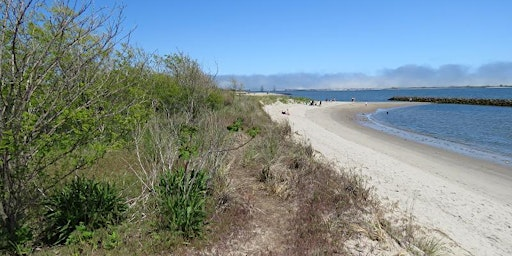 Plumb Beach Clean Up | Plumb Beach (Gateway National Recreation Area)