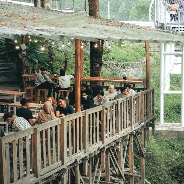 FOREST KOPI FOREST KOPI