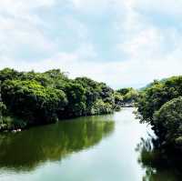 基隆之美-情人湖公園、環湖步道和美麗的吊橋！