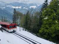 ราชินีแห่งขุนเขา Rigi 🇨🇭