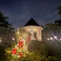 Christmas Light at Botanical Garden