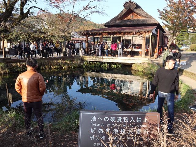 【山梨・世界文化遺産】忍野八海