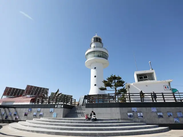 동해 묵호항 묵호등대전망대 