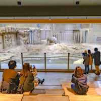 円山動物園のゾウ舎・上層階