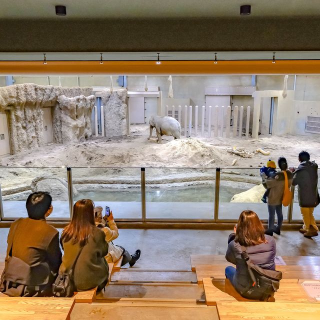 円山動物園のゾウ舎・上層階