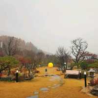 유리온실 정원이 있는 영주 한옥카페 , 사느레정원
