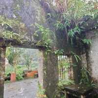 三貂嶺廢墟小屋咖啡 cafe hytte 值得細細品味