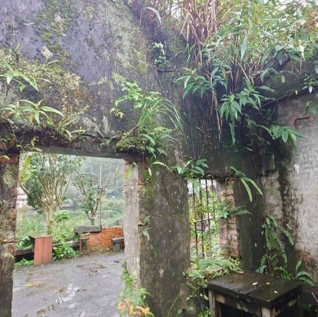 三貂嶺廢墟小屋咖啡 cafe hytte 值得細細品味