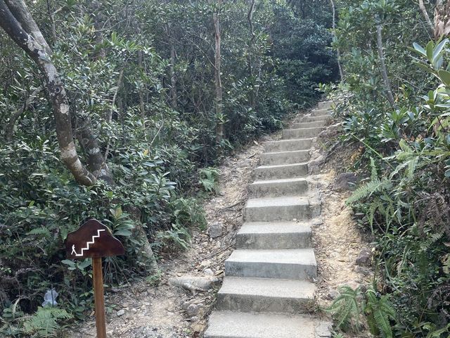 西高山行山｜飽覽維港景。離島景。日落景。山頂夜景｜新手行山最短最輕鬆的行山路線